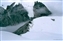 Camp 1 on Cho Oyu