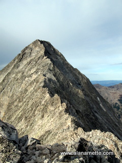 click to enlarge