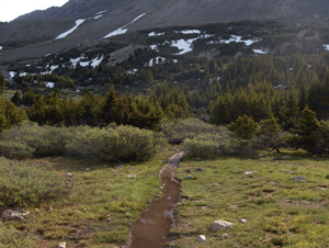 wet trail on the way to Harvard