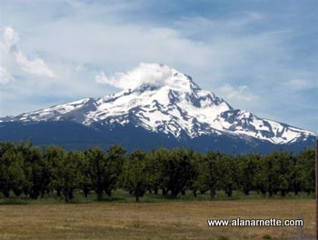 Mt. Hood from Highway 35