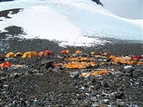 South Col