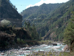 Dodi Kosi river